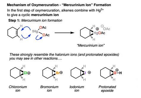 Oxymercuration Demercuration of Alkenes – Master Organic Chemistry