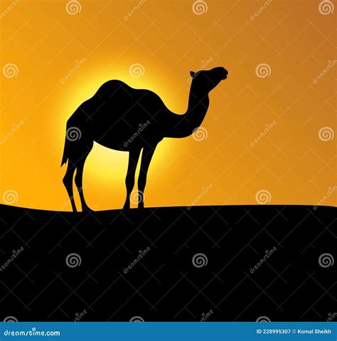 Sunset with Camel Silhouette Illustration Landscape Design Stock Vector - Illustration of animal ...