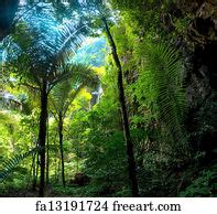 Free art print of Thailand outdoor photography of waterfall in rain jungle forest. | FreeArt ...