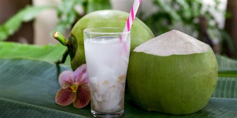 7 Resep Es Kelapa yang Enak dan Segar, Mudah Dibuat