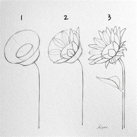 How to draw flowers | Flower drawing tutorials, Easy flower drawings ...