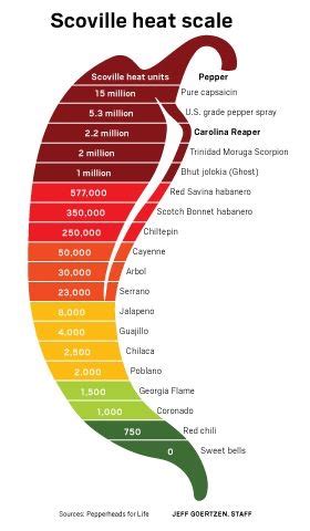 Scoville heat scale - Imgur | Stuffed hot peppers, Stuffed peppers ...