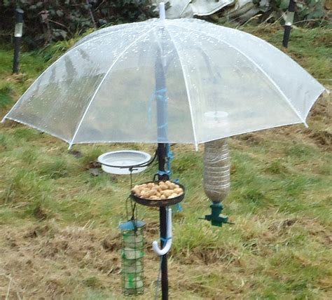 Clever Umbrella Bird Feeder: this keeps seed dry, protects birds from sky predators and (wow ...