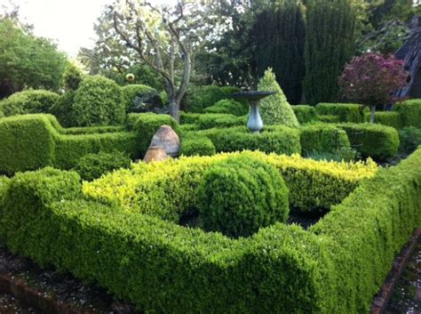 24 Beautiful Boxwood Garden Ideas