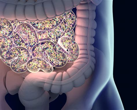 Gut Microbiome Changes Different in Ankylosing Spondylitis and IBD, Associated With Disease ...