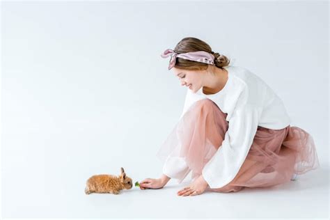 Caring For Newborn Baby Rabbits - Northern Nester