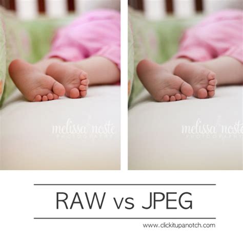 RAW vs. JPEG