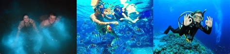 Seven Mile Beach Snorkeling Grand Cayman Islands | Snorkel Guide ...