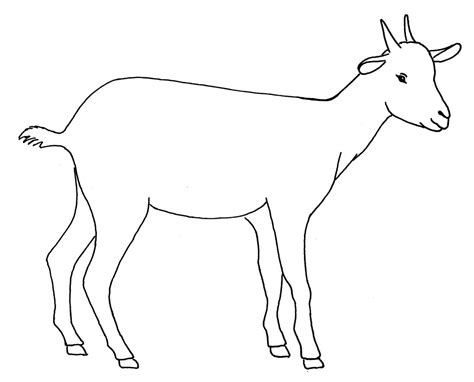 Line drawing of a goat | Used in information flyer on ‘Most … | Flickr