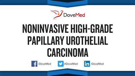 Noninvasive High-Grade Papillary Urothelial Carcinoma