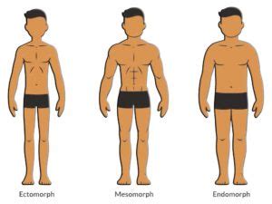 Your Body Type And Metabolism - How it influence the way you train & eat