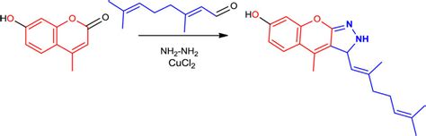 Scheme 1. Synthesis of coumarine derivative 1m. | Download Scientific ...