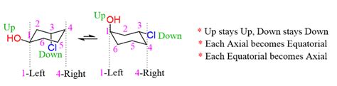 Chair Conformation Practice Worksheet - prntbl.concejomunicipaldechinu.gov.co