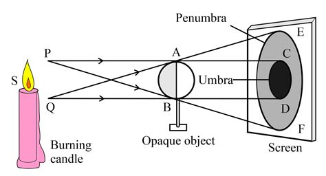 Draw a ray diagram to show the formation of umbra and penumbra both ...