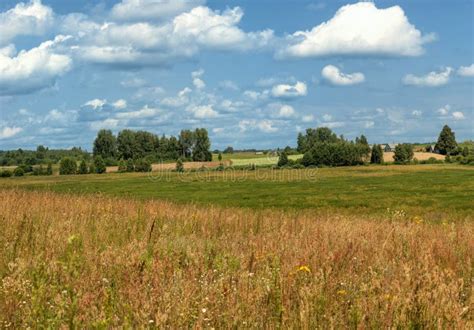 Panoramic Farm Wild Landscape Stock Photo - Image of background, landscape: 32681028