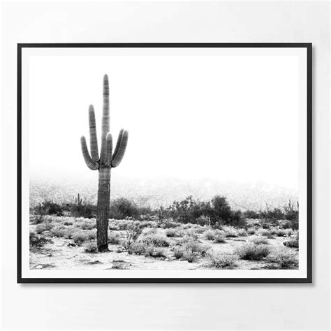 Cactus Print Black White Cacti Cactus Photography Minimal