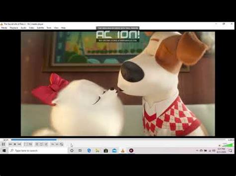 Secret Life of Pets 2 Gidget & Max Kiss in Dream scene - YouTube