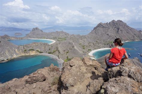 Padar Island, Pink Beach, Komodos & Mantas: Tagesausflug von Labuan ...