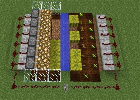 Minecraft Pumpkin Farm Layout