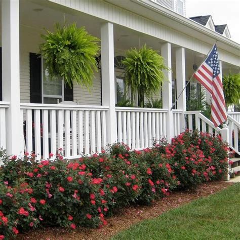 9 Top Curb Appeal Plants for Along Your Foundation | Porch landscaping ...