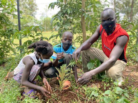 Afforestation & Reforestation Project