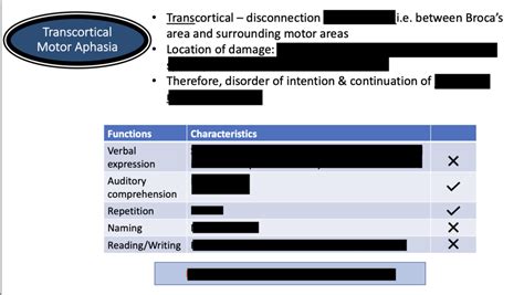 Transcortical Motor Aphasia Diagram | Quizlet