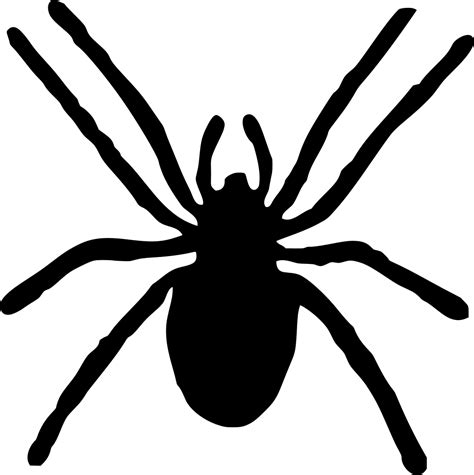 SVG > bugs spider - Free SVG Image & Icon. | SVG Silh