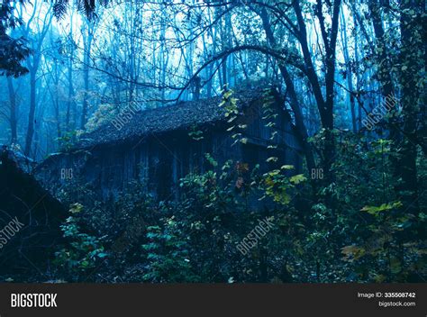 Abandoned House In Forest