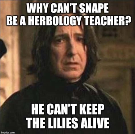 25 Snape Memes That Are Crueler Than 'Avada Kedavra'