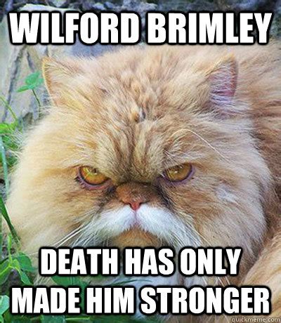 Wilford brimley death has only made him stronger - Diabeetus Cat ...