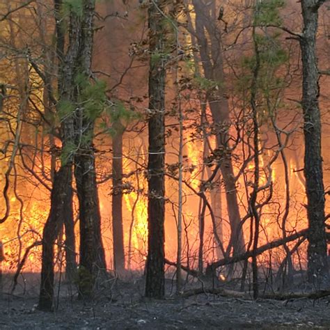 Lakewood NJ forest fire: Investigation remains stuck for fire near Brick