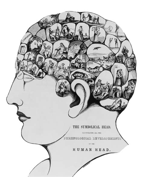 Symbolic Human Head Free Stock Photo - Public Domain Pictures
