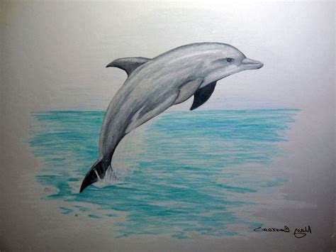 Dolphin Pencil Drawing Drawing Art Library - 1024x768 - jpeg | Dolphin drawing, Dolphin art ...