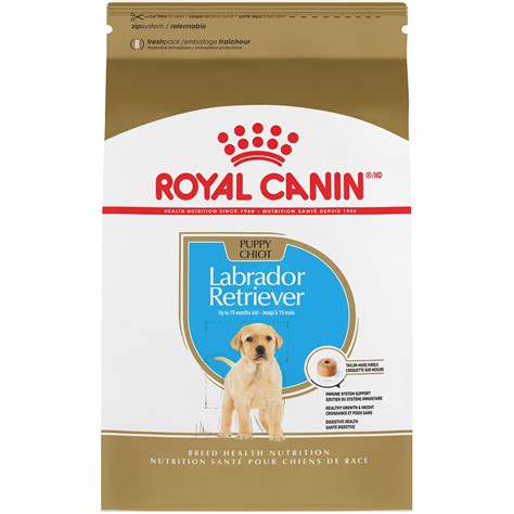 Labrador Retriever Puppy Dry Dog Food | Royal Canin US