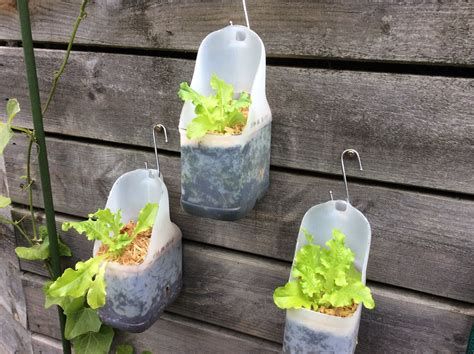 Milk bottle planters | Bottle garden, Plants in bottles, Plastic bottle ...