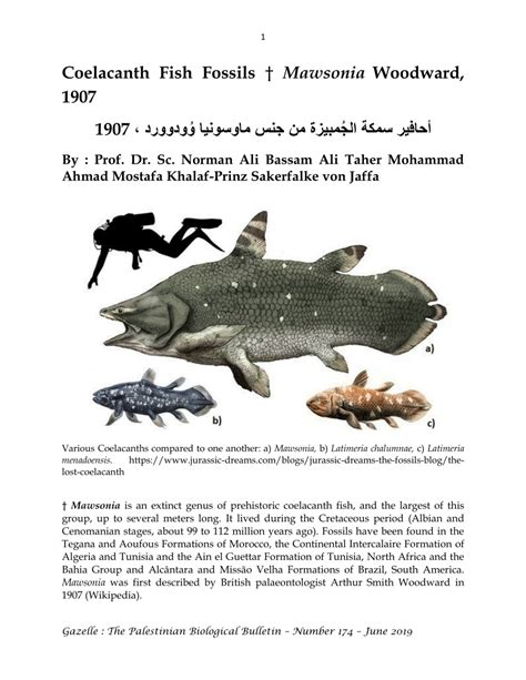 (PDF) Coelacanth Fish Fossils † Mawsonia Woodward, 1907