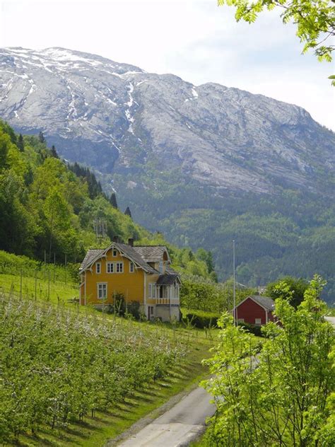 Hardangerfjord | Beautiful Norway