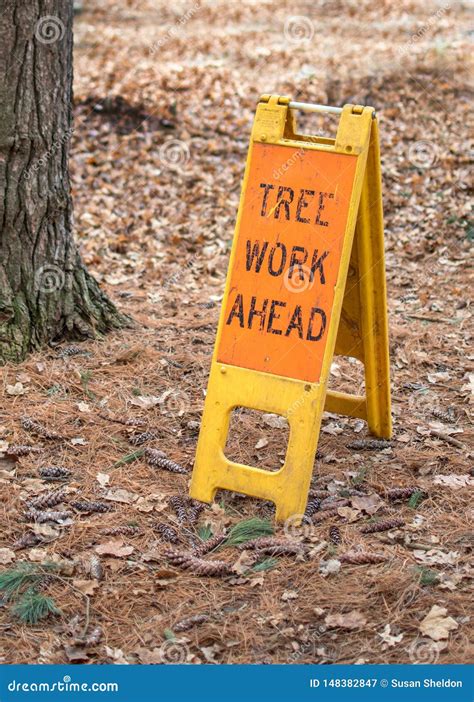 Tree Work Ahead Sign in the Woods Stock Image - Image of danger, area ...