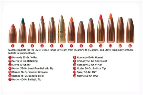 The .221 Fireball Cartridge: The Little Round that Can - Shooting Times