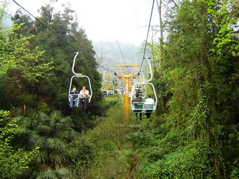 Photo, Image & Picture of Qingchengshan Mountain Cable Car Sichuan