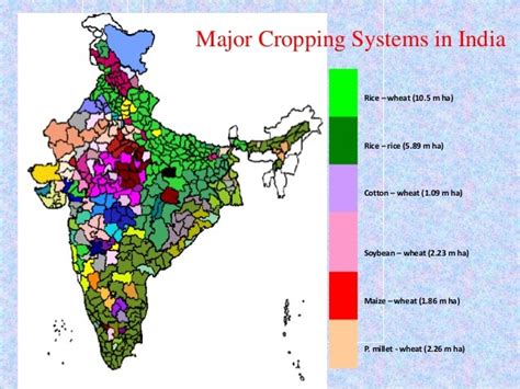 Major Crops Of India Map