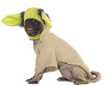 Costumes for Pug Dogs - Paws Right Here