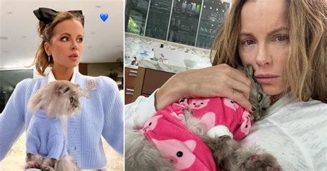 Kate Beckinsale reveals tattoo tribute to beloved late cat | Metro News