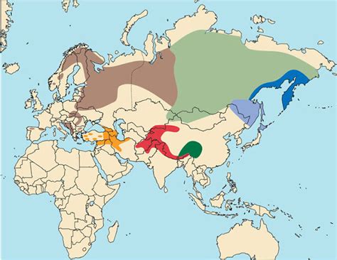 Abe's Animals: 7 subspecies of Ursus Arctos from the modern range map