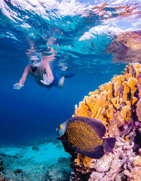 10 BEST Bonaire Snorkeling Spots - Bobo and ChiChi