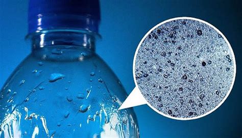 The World Health Organization (WHO) released its first report into the effects of microplastics ...