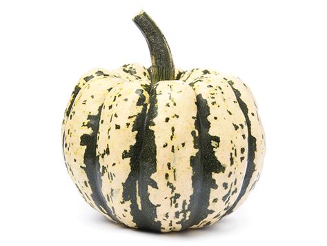 Squash - Sweet Dumpling seeds - Heirloom Seeds Canada