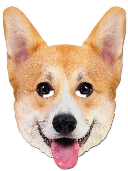 Corgi face mask | Corgi dog, Corgi face, Corgi