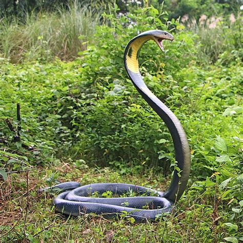 Lifesize King Cobra Snake Statue | King cobra snake, Cobra snake, Life ...