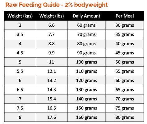 How Much Raw Food to Feed a Cat? Check our Cat Feeding Guides | Raw food recipes, Cat feeding ...